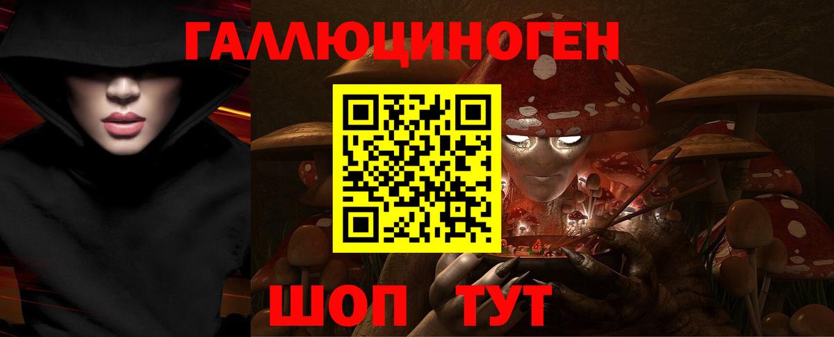 Псилоцибиновые грибы прущие грибы  Псилоцибиновые грибы мицелий  купить   Вход с VPN  Домодедово 